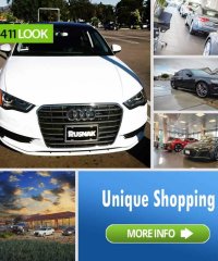 Rusnak/Westlake Audi