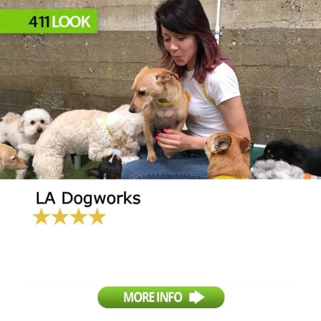 LA Dogworks