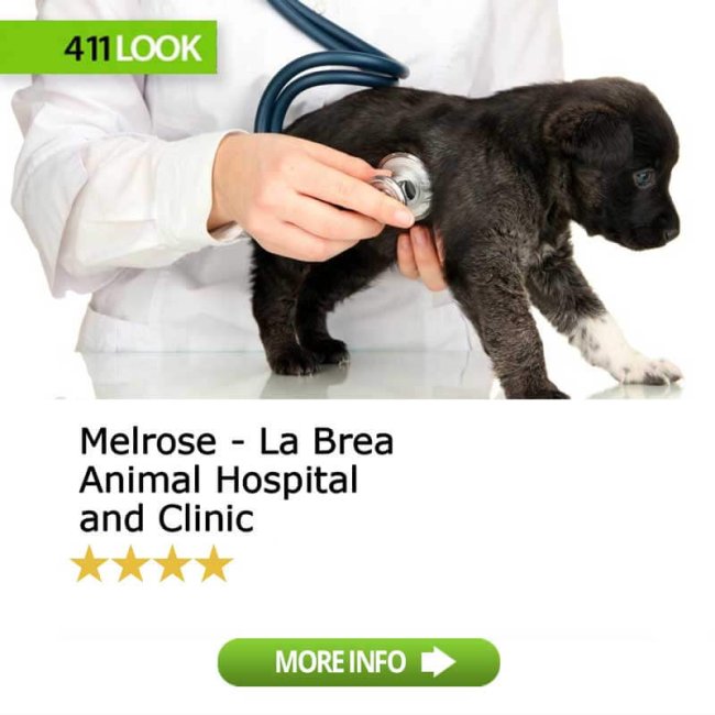 Melrose – La Brea Animal Hospital and Clinic