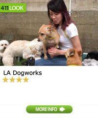 LA Dogworks